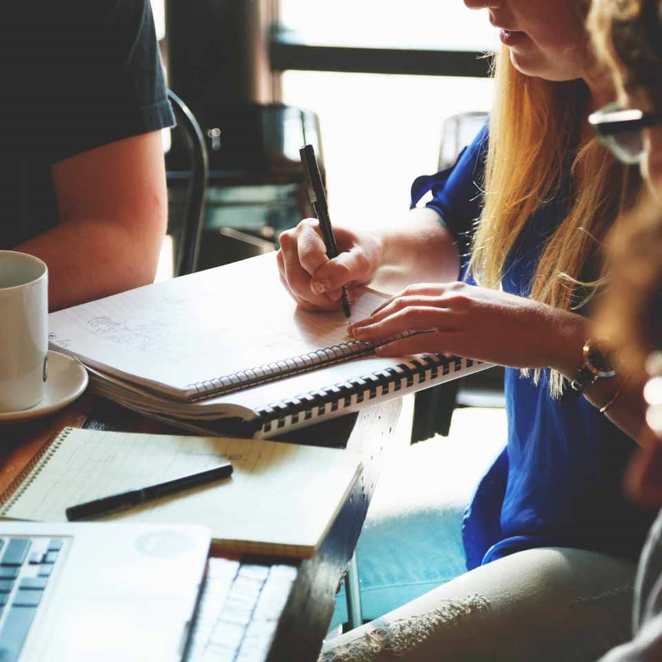 consultora2