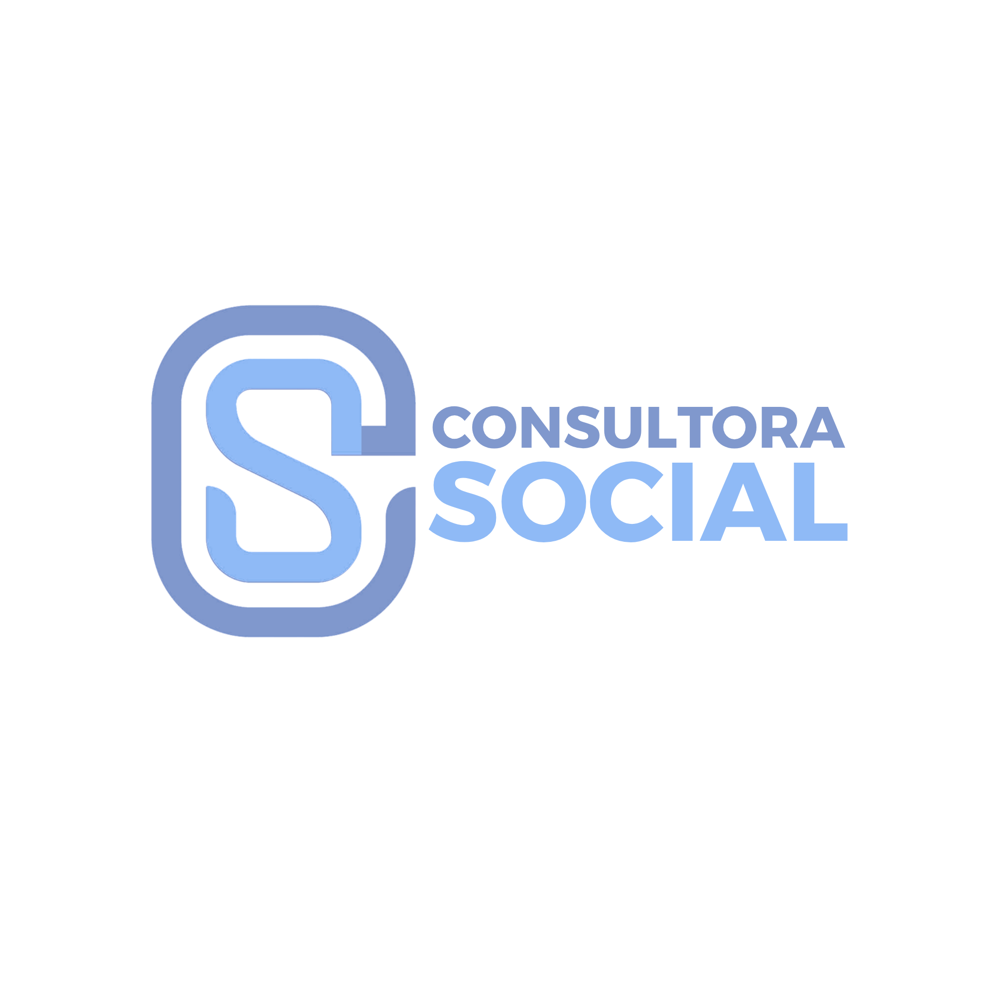 Consultora Social